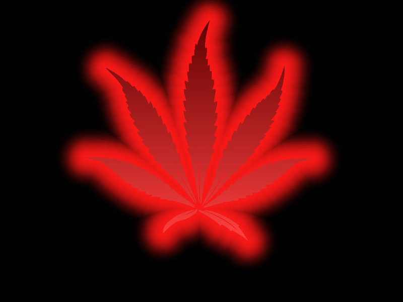 cannabis wallpaper. red pot leaf wallpaper