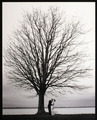 rooted in love - love photo