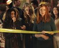 se4 , ep 10 promo pic - desperate-housewives photo