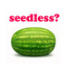 seedless? - the-office icon
