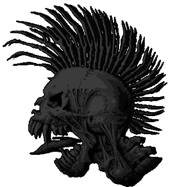  skull hawk