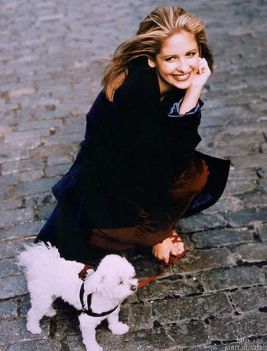  smg & sweet puppy-pic nr 2