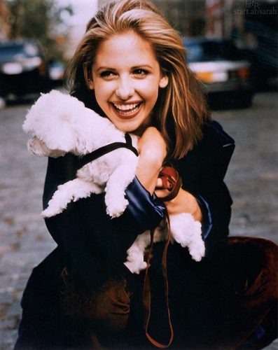 smg & sweet puppy