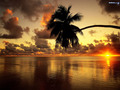 mother-nature - sunsets wallpaper