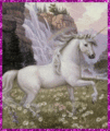 unicorn - fantasy photo