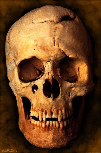  vampire skull