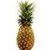  a pineapple