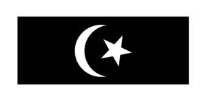  Terengganu's flag