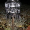 The ice storm in Oklahoma AFrog10 photo