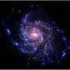 Pinwheel Galaxy LisaS photo