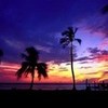 Sunrise Florida LisaS photo
