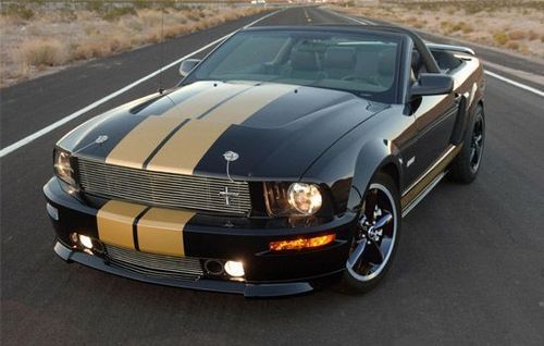 2008 Shelby