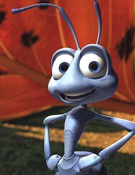  A Bugs Life