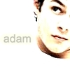  Adam<3