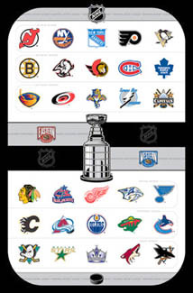  All 30 teams of the NHL