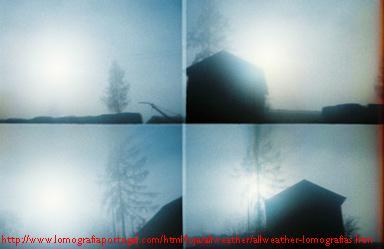  All Weather Action Sampler