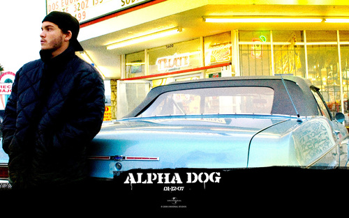  Alpha Dog