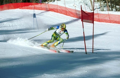  Alpine 스키 타기, 스키