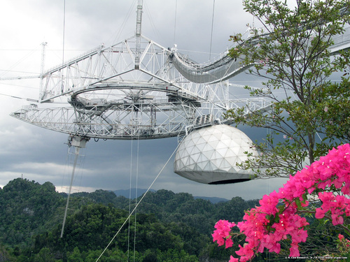  Arecibo 展望台, 天文台