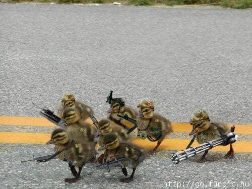  Army Ducks