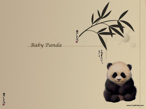  Baby Panda kertas dinding