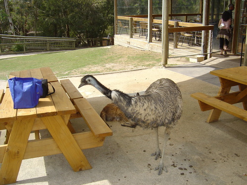  Ballarat Wildlife Park