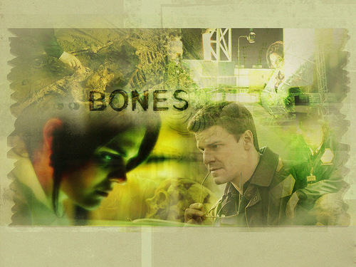  Bones
