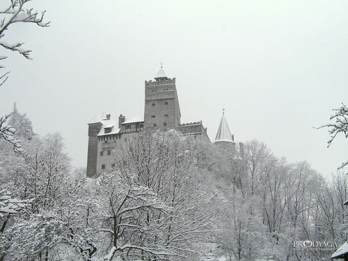  Bran istana, castle