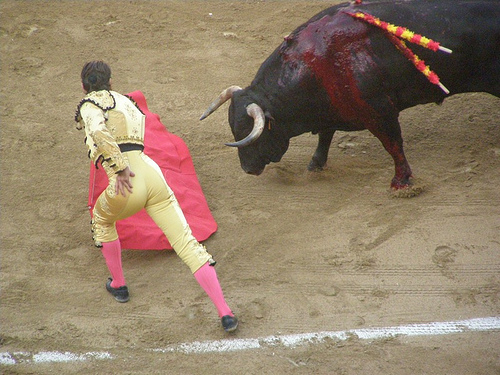  Bullfight