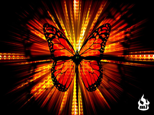  mariposa fondo de pantalla