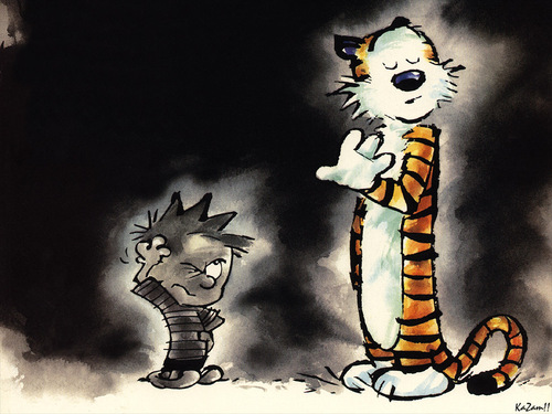  Calvin & Hobbes