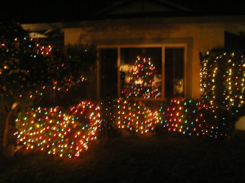  クリスマス lights