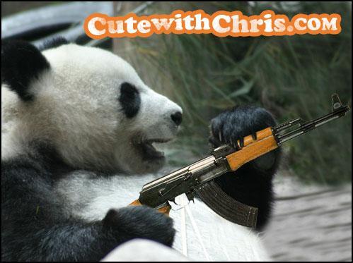  Dangerous Panda