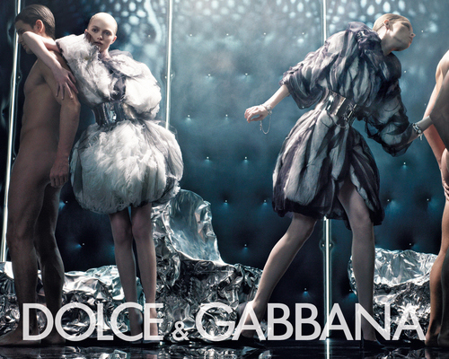  Dolce & Gabbana / wallpaper