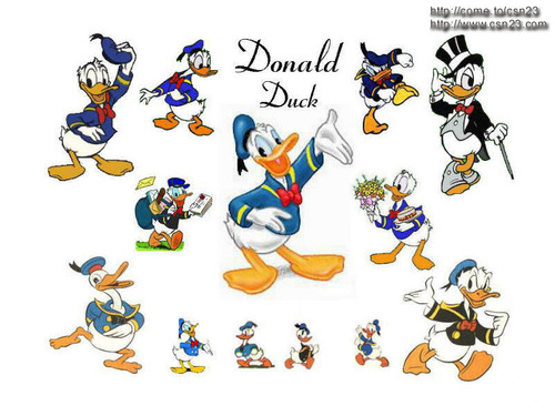 Donald eend