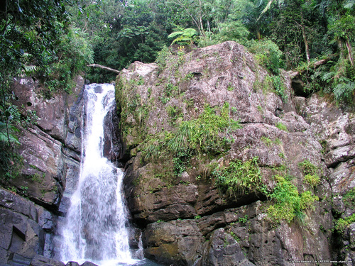  El Yunque Waterfall