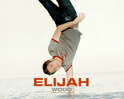  Elijah Wood