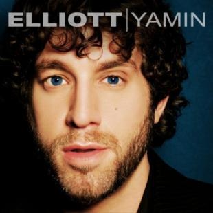  Elliot Yamin
