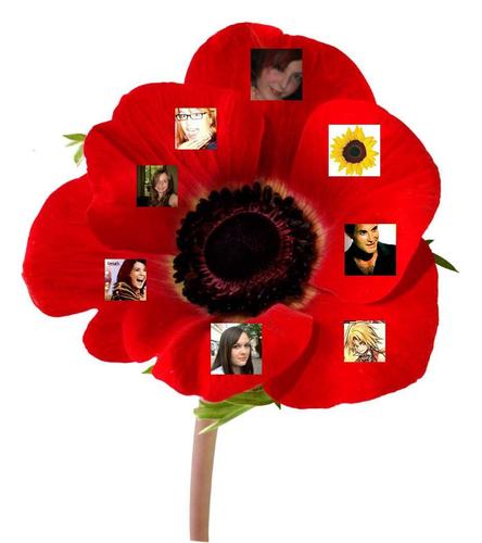 Fan Poppy #3 (with AmazonDebs)