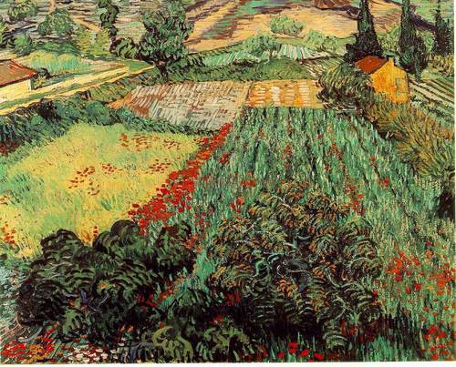  Field with Poppies