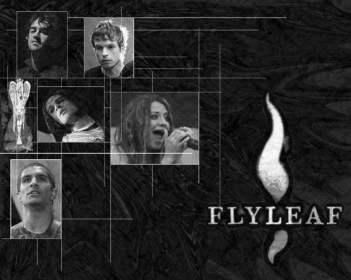  Flyleaf members