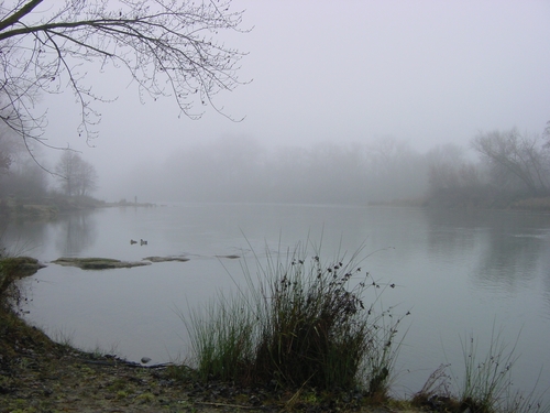  Fog sa pamamagitan ng American River