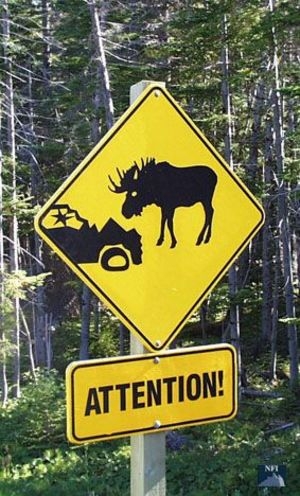  Funny Signs