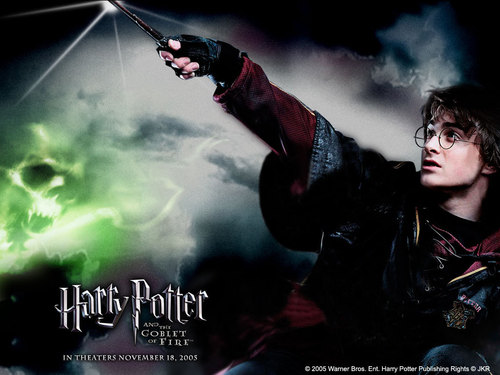  Goblet of Fire: Harry