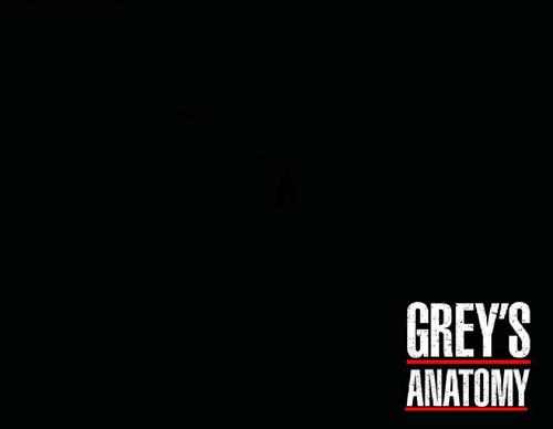  Grey Anatomy Logo