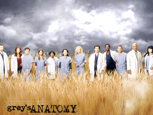  Grey's Anatomy Обои