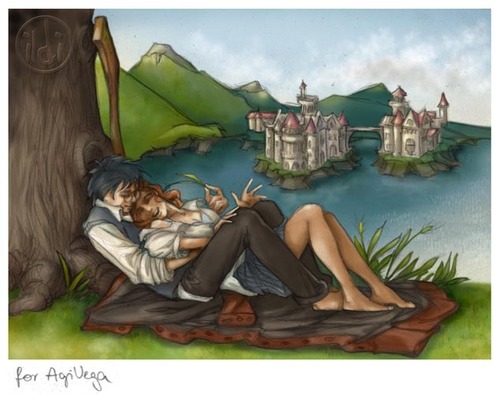  Harry&Ginny Fanart