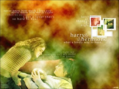  Harry/Hermione
