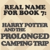  Harry Potter icoon