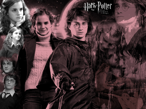  Harry hermione 1